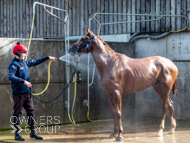 BP200326-52 - It's Hard To Know